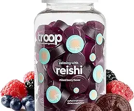 Daily Mushroom Reishi Gummy